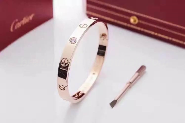 Cartier Bangles 5